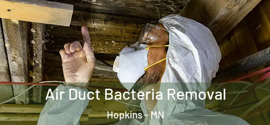  Air Duct Bacteria Removal Hopkins - MN