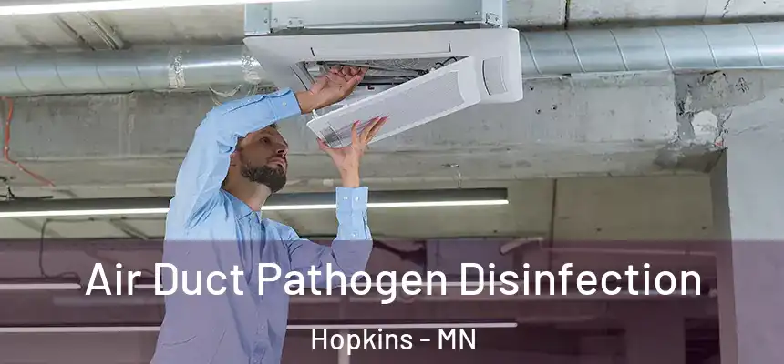  Air Duct Pathogen Disinfection Hopkins - MN
