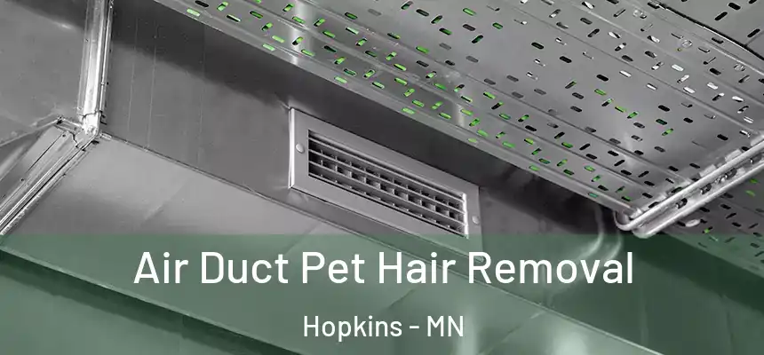  Air Duct Pet Hair Removal Hopkins - MN