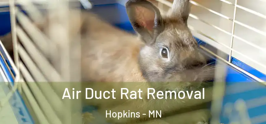  Air Duct Rat Removal Hopkins - MN