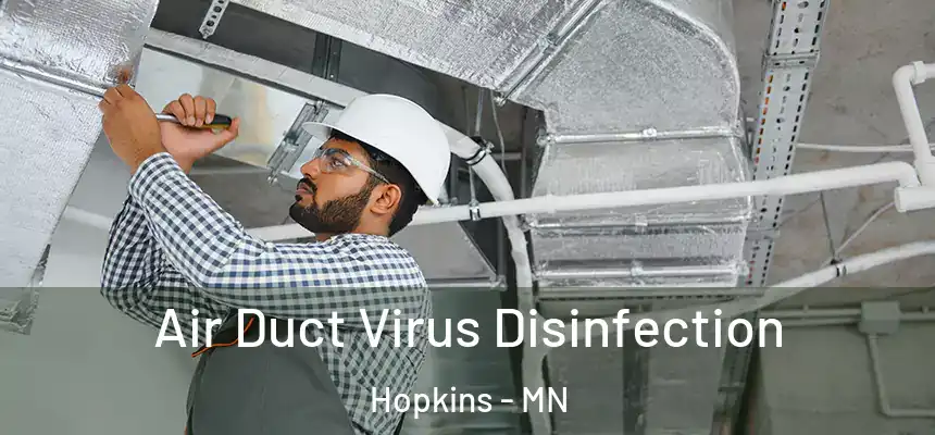  Air Duct Virus Disinfection Hopkins - MN