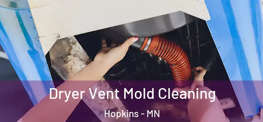  Dryer Vent Mold Cleaning Hopkins - MN