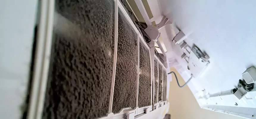 Preventive Air Duct Bacteria Removal in Hopkins