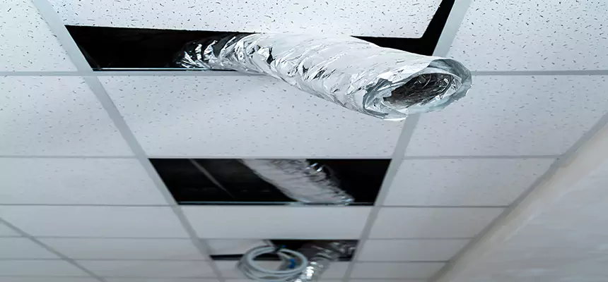 Affordable HVAC Sanitizing After Pest Removal in Hopkins