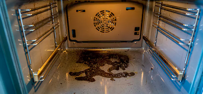 Our Dryer Vent Mold Cleaning Services in Hopkins, MN