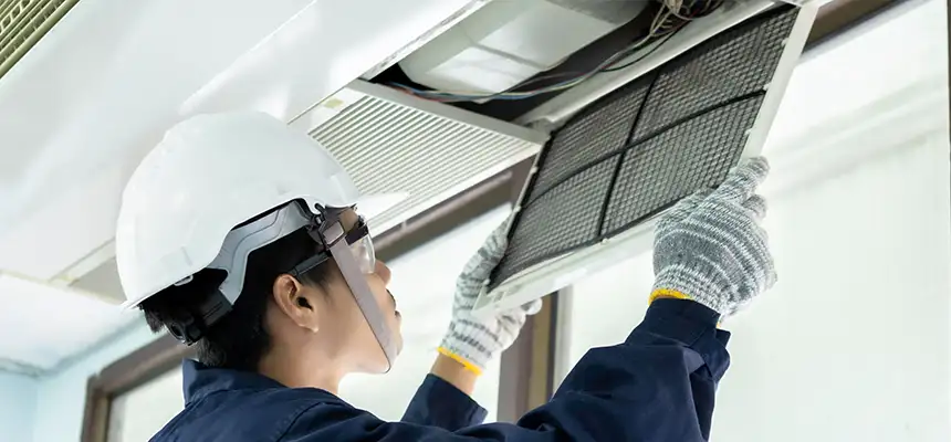 Our Lint Trap Cleaning Service Services in Hopkins, MN