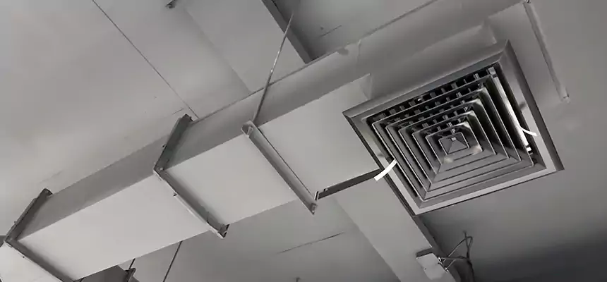 Our Rodent Droppings In Vents Services in Hopkins, MN