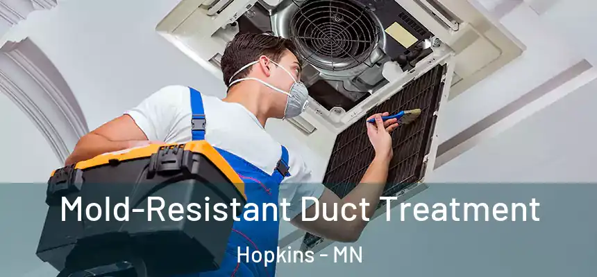 Mold-Resistant Duct Treatment Hopkins - MN