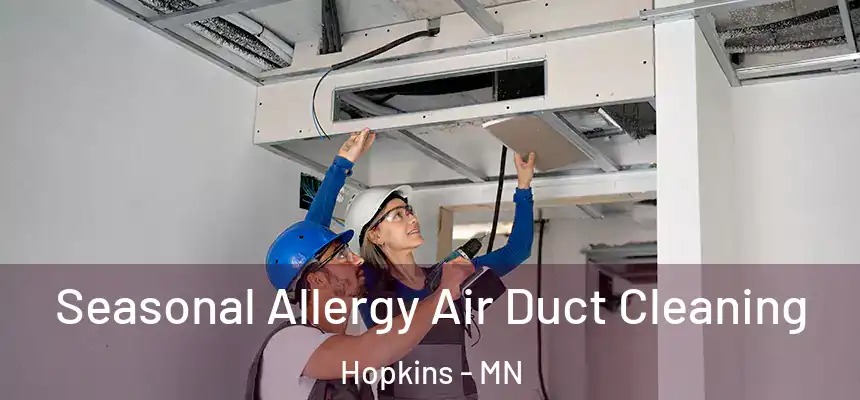  Seasonal Allergy Air Duct Cleaning Hopkins - MN