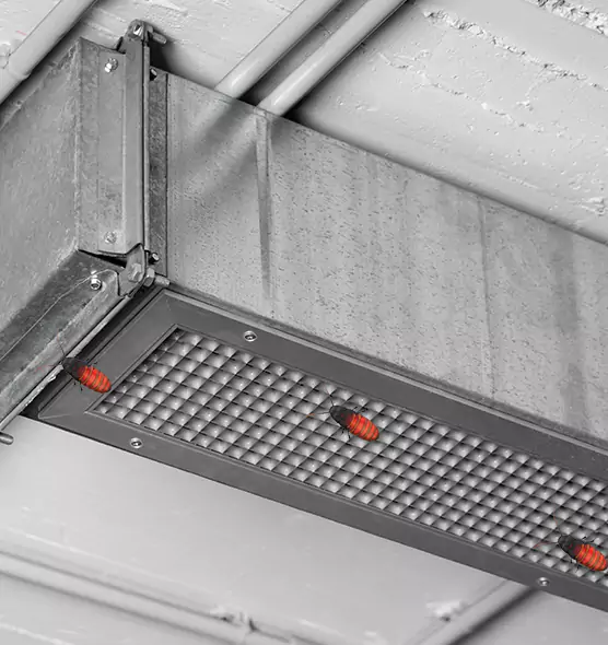 About Air Duct Cockroach Removal in Hopkins, MN