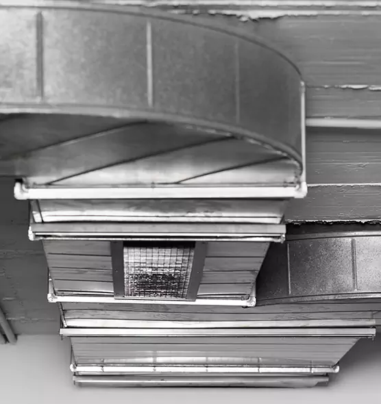 Professional Air Duct Pest Removal in Hopkins, MN