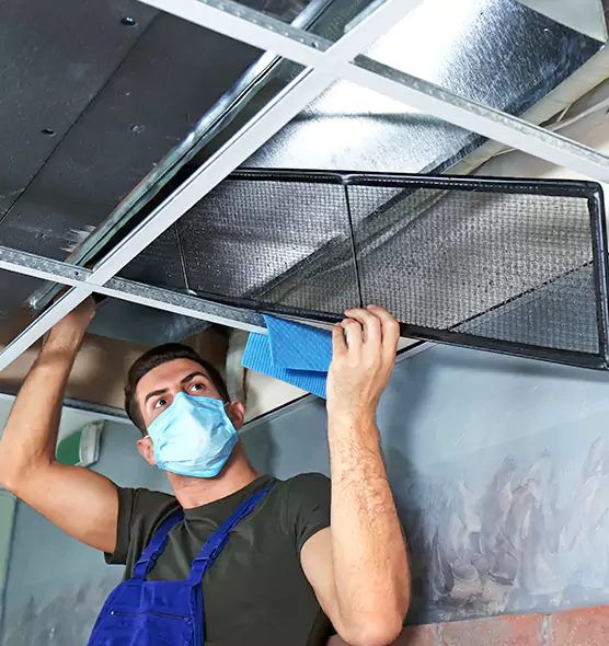 Professional Air Duct Pollen Cleaning in Hopkins, MN