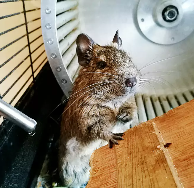 Why Homeowners & Businesses Trust Us Hopkins, MN?