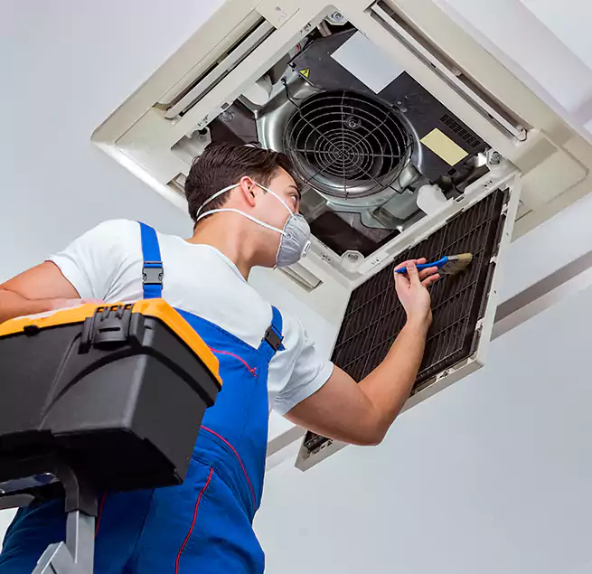 Why Homeowners & Businesses Trust Us in Hopkins, MN