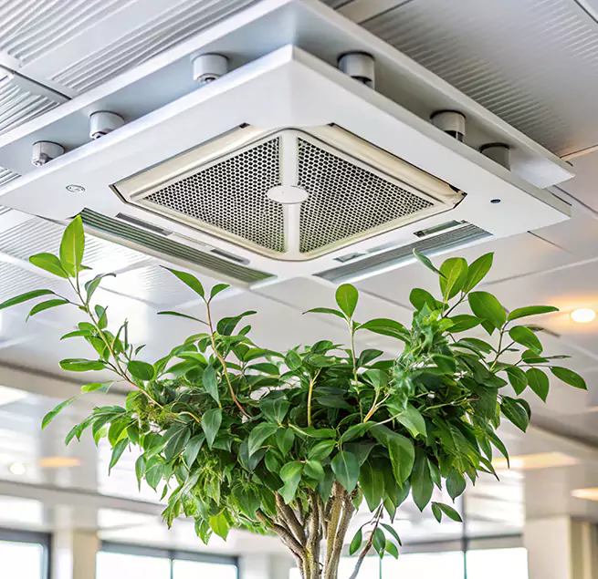 Why Homeowners & Businesses Trust Us in Hopkins, MN?