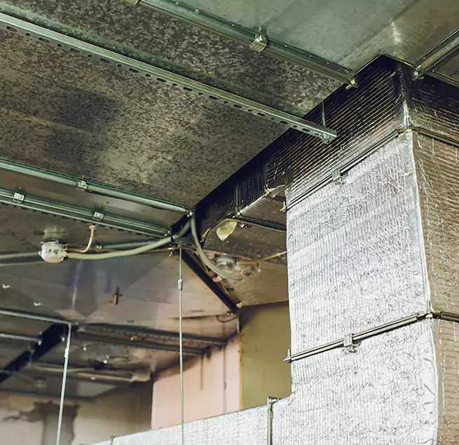 Why Homeowners & Businesses Trust Us in Hopkins, MN?